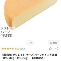 業務用のラクレットチーズの機械を千円からレンタル致します。の画像