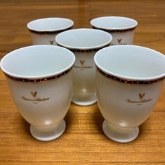 決）未使用！ジョバンニバレンチノカップ５Ｐ