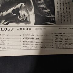 アサヒグラフ　昭和48年4月6日　水俣は終わらない　水俣病　トルコ　牛島　チャップリン　蜘蛛　古本　当時物　絶版の画像