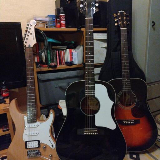 希少品 Rider ライダー CUSTOM MODEL R-300 アコースティックギター 林