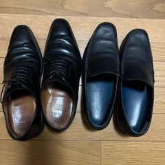 REGAL25、5センチ　左のみ