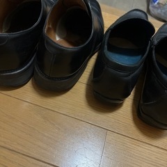 REGAL25、5センチ　左のみの画像