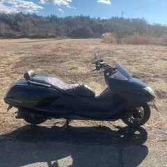 ヤマハマグザムsg17j の画像