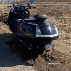 ヤマハマグザムsg17j の画像