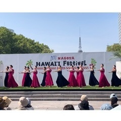 岐阜フラダンス教室　平日夜に新規クラス開講🌺の画像