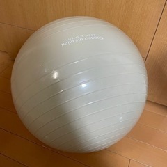 バランスボールの画像
