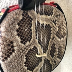 【引き取り先決定】蛇味線【0円】の画像