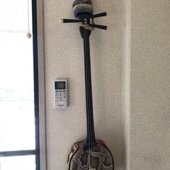 【引き取り先決定】蛇味線【0円】