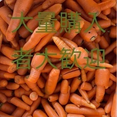 第2弾 訳あり人参 詰め放題200円