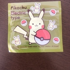 ピカチュウ　チャック付き袋　透明