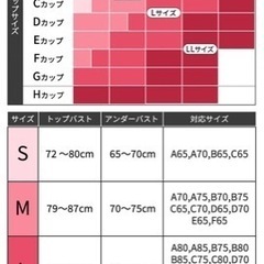 今話題のAGARISM✖︎GYDAブラの画像