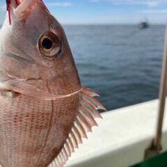 紀北の釣りをとことん♪釣り仲間募集
