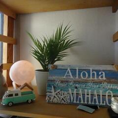 西日暮里駅徒歩2分！一緒に楽しくウクレレ弾こう♪の画像