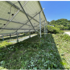 【60~90分3000円！】除草剤散布_60～90分@にかほ市三...