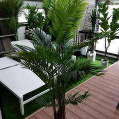 ⑩【処分価格】新品 アレカヤシ(160cm)　人工観葉植物 フェ...