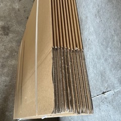 ダンボール　お話し中の画像