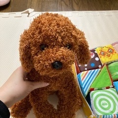 アンパンマンのやさしいやわらか積木と、ぬいぐるみのセットの画像