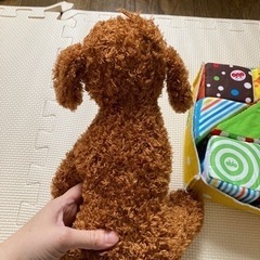 アンパンマンのやさしいやわらか積木と、ぬいぐるみのセットの画像