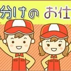 【宍粟市】時給1300円+交通費◎週3～白菜などの仕分け作業の画像