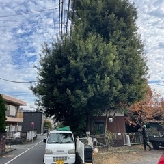 植木屋手伝います