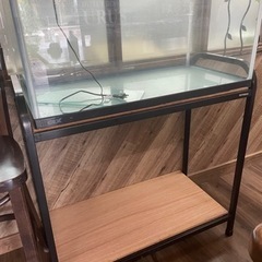 水槽セット