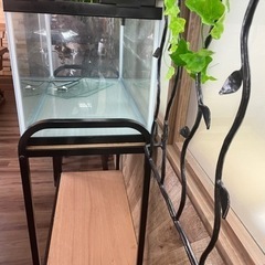 水槽セットの画像