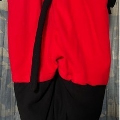 ミッキー着ぐるみの画像