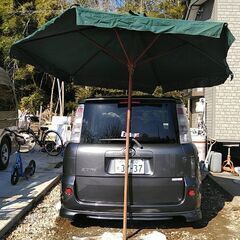 でかいパラソルの画像