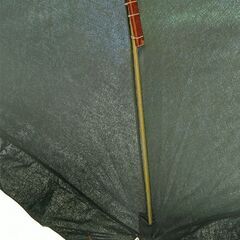 でかいパラソルの画像