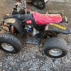 バギー　50