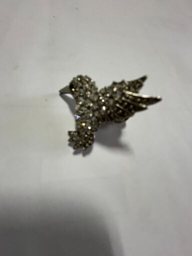 ダイヤモンドの鳥です