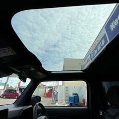 タフトって力強いですよね！！！の画像