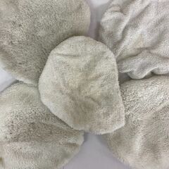 カーポリッシャー オートウィル パワーポリッシャー AE-1 電動 (管理番号：2900149)の画像