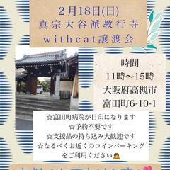 保護猫の譲渡会　大阪府高槻市　2/18(日)
