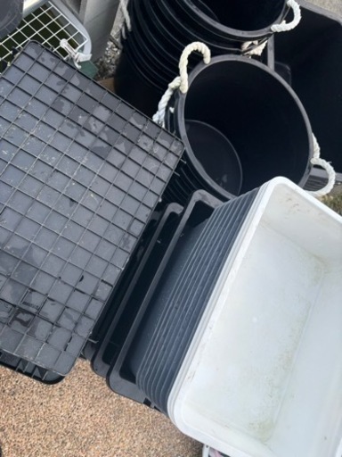 メダカ　飼育容器