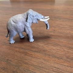 アニア　象の画像