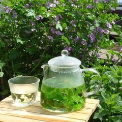 ろくろ陶芸＆ピザ作り窯焼体験【群馬　からっ風焼　陶仙房】癒しの異空間で楽しむの画像