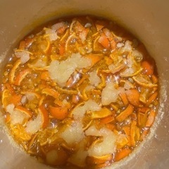 発酵ジュース作り教室×発酵ローフードの食事会の画像