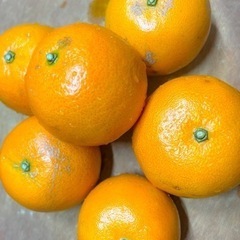 発酵ジュース作り教室×発酵ローフードの食事会の画像