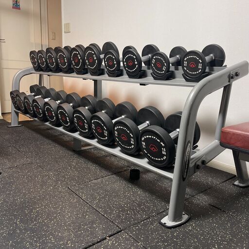Steelflex スティールフレックス ダンベル ラック セット 計275kg Steelflex スティールフレックス ダンベル ラック セット 計275kg