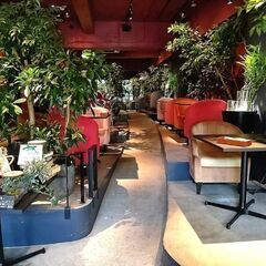 2月16日(金) 13：15 - ≪三宮≫*GREEN HOUS...