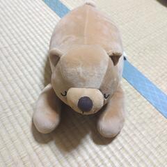 ぬいぐるみ  クマ(๑･㉨･๑)