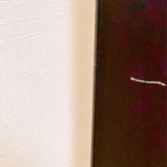  取引き先決定　テレビ台、HDD3台付き REGZA 4Kの画像