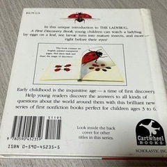 The Ladybug and Other Insects てんとう虫絵本の画像