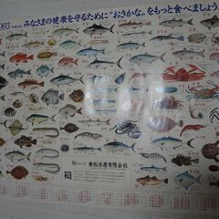 魚のポスターの画像