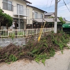 ☆御見積無料☆剪定でお困りの方はご連絡ください！！ - 福岡市