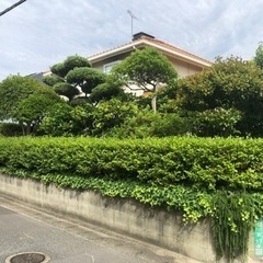 ☆御見積無料☆剪定でお困りの方はご連絡ください！！ − 福岡県