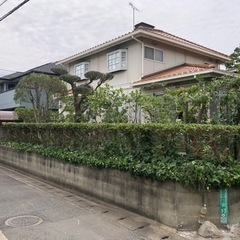 ☆御見積無料☆剪定でお困りの方はご連絡ください！！ - 地元のお店