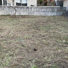伐採、剪定、草刈りなどの仕事