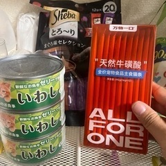 猫餌、チュール無料あげる